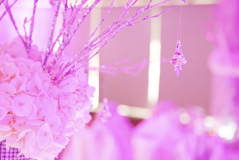 Bat Mitzvah - Pacific Palisades