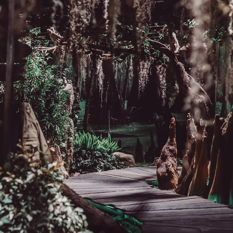 DC Comics - San Diego Comic Con 2018