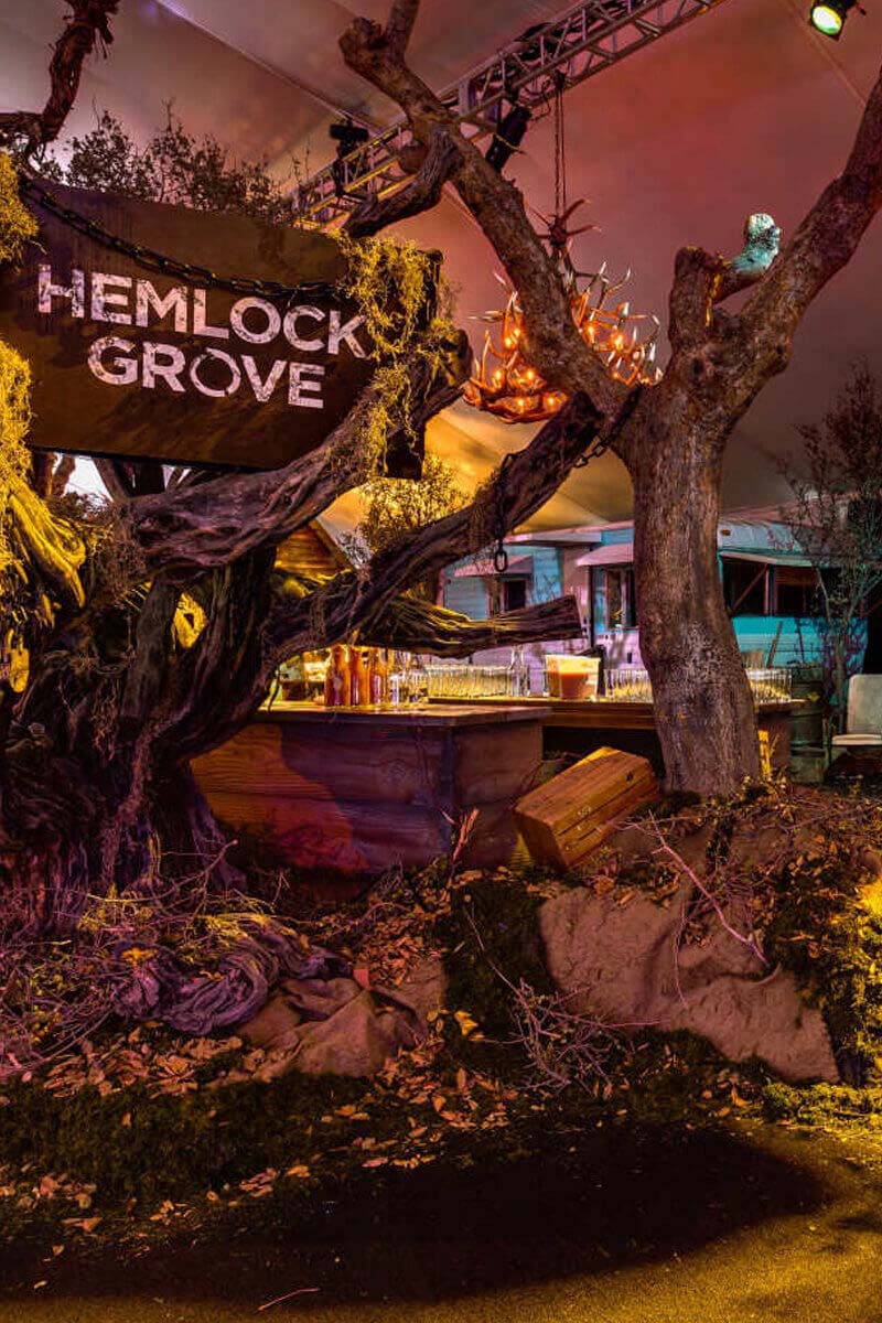 Netflix 50 Million Reasons to Celebrate