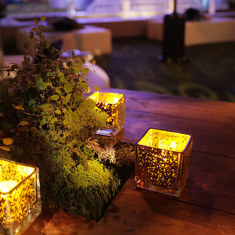 Comedy Central Rob Lowe Roast After Party