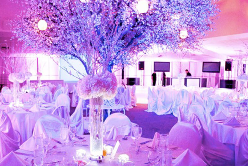 Bat Mitzvah - Pacific Palisades
